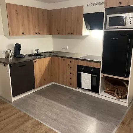 Haus Erna Apartment *