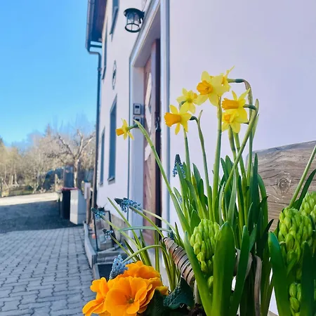 Apartment Haus Erna Weitra