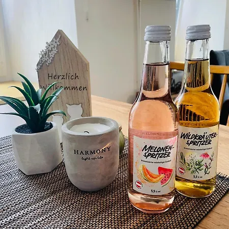 Haus Erna Апартаменты *