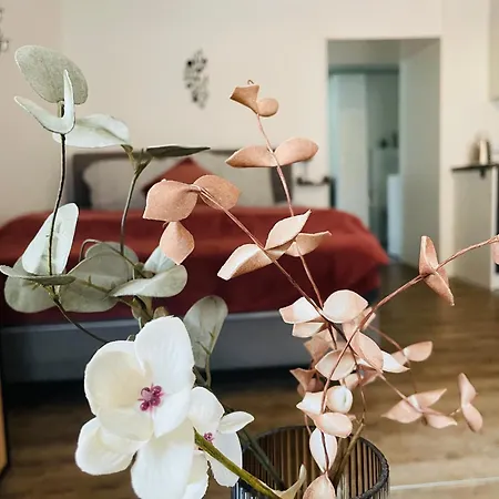 アパート Haus Erna *