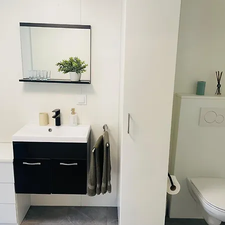 Haus Erna Apartment