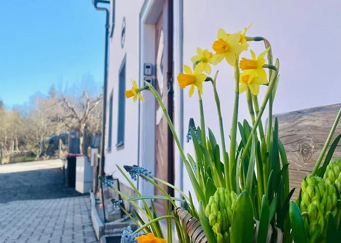 アパート Haus Erna ヴァイトラ