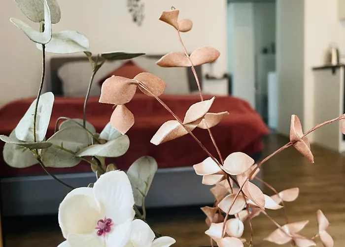 アパート Haus Erna *